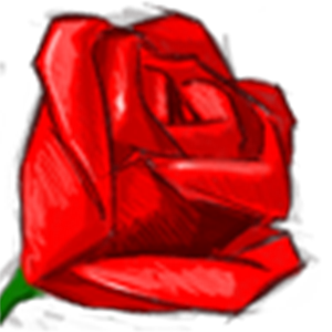 racheli.nehemia