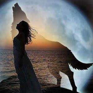 תמונת משתמש