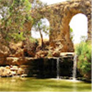 תמונת משתמש