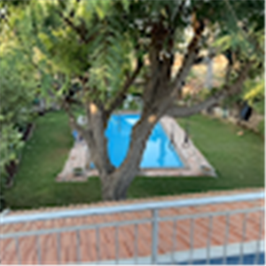 תמונת משתמש