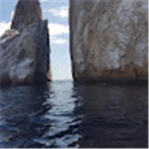 תמונת משתמש