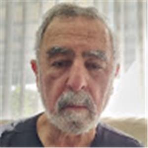 amnonhenia - תמונה