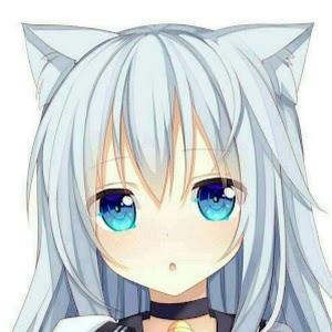 תמונת משתמש