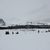 Misha