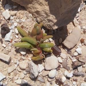 תמונת משתמש