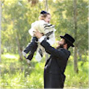 יהודה לנדאו