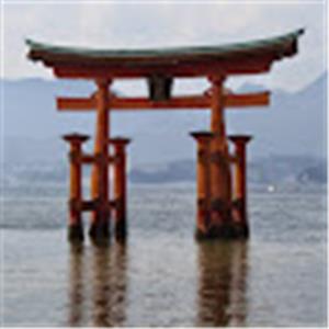 תמונת משתמש