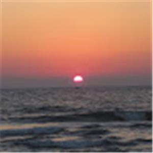 תמונת משתמש