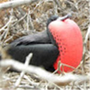 תמונת משתמש