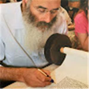 תמונת משתמש