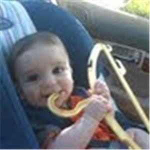 תמונת משתמש