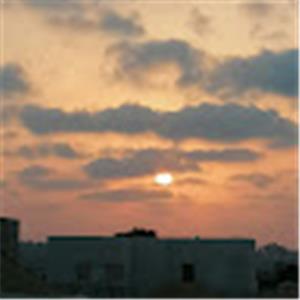 תמונת משתמש