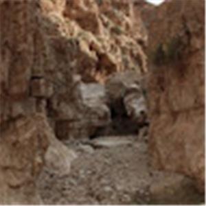 תמונת משתמש