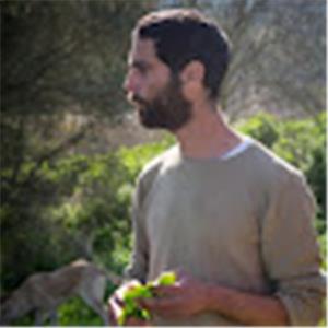 תמונת משתמש