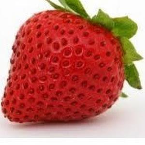 תמונת משתמש