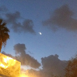 תמונת משתמש