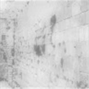 תמונת משתמש