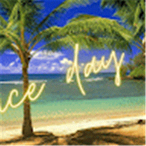 noa007katzav - תמונה