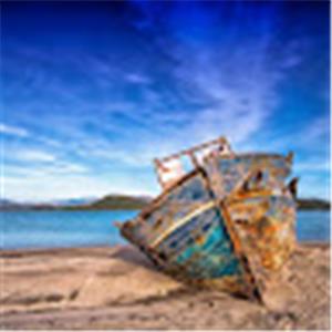 תמונת משתמש