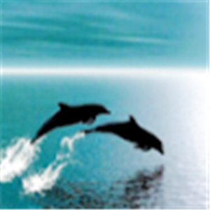 תמונה של mery113638