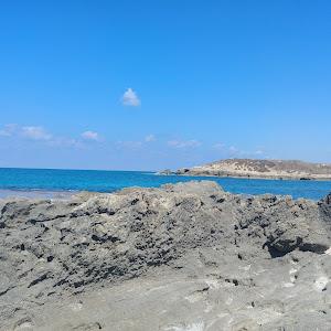 Regev  - תמונה Regev  - תמונה