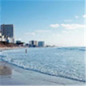 ori.dolev - תמונה