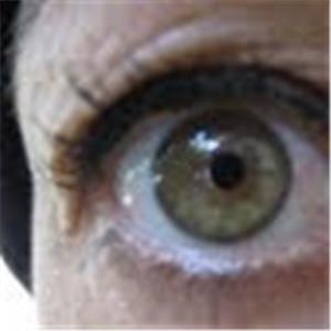 תמונת משתמש