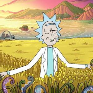 תמונת משתמש