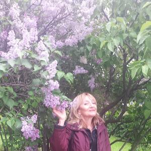 תמונת משתמש