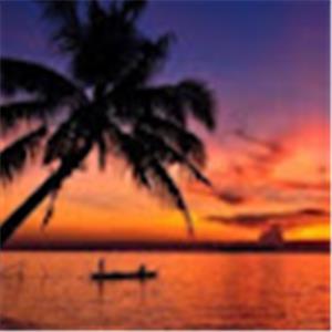 תמונת משתמש