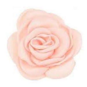 תמונת משתמש