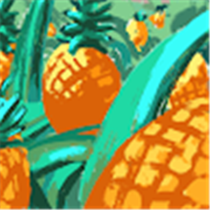 clipper610 - תמונה