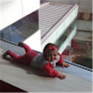 תמונת משתמש