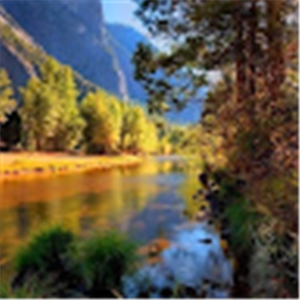 תמונת משתמש