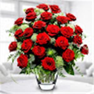 תמונת משתמש