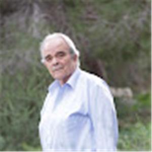 Yigal - תמונה