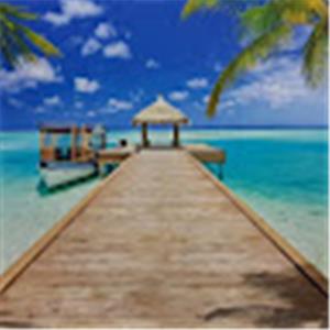 מאיר - תמונה