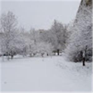 תמונת משתמש