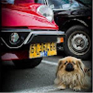 תמונת משתמש