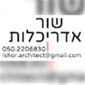 תמונת משתמש