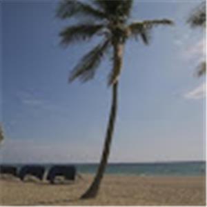 תמונת משתמש