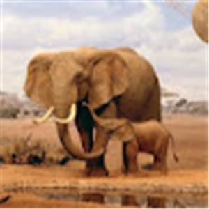 תמונת משתמש