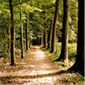 תמונת משתמש