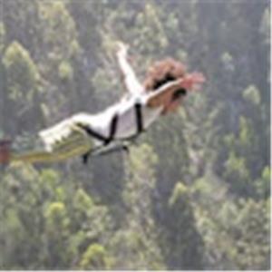 תמונת משתמש