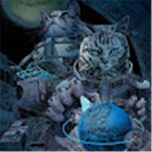 hrwnk513 - תמונה