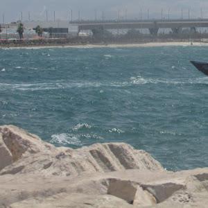 תמונת משתמש