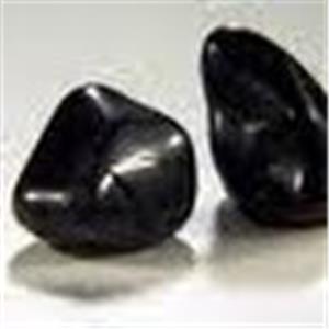 תמונת משתמש