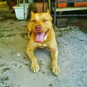 תמונת משתמש