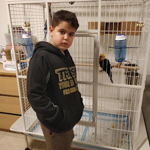 תמונת משתמש