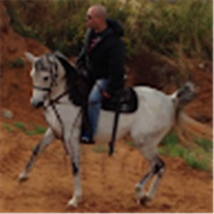 תמונת משתמש